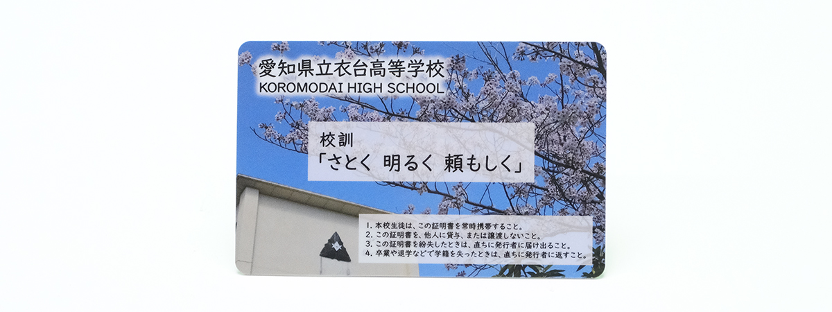 カード裏